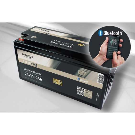 Batteria LiFePO4 100Ah 25,6V - Forster Standard