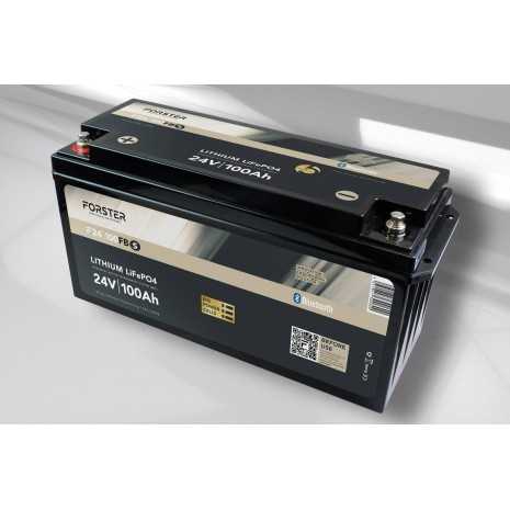 Batteria LiFePO4 100Ah 25,6V - Forster Standard