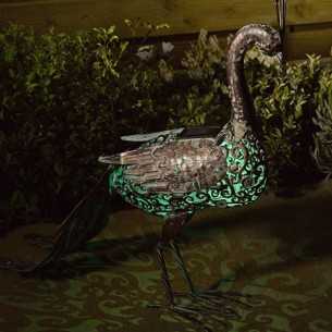 Pavone Soleluce solare