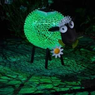 Pecora Sally soleluce solare