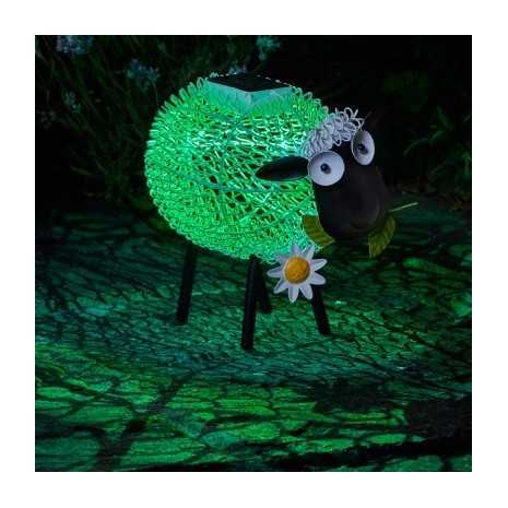 Pecora Sally soleluce solare