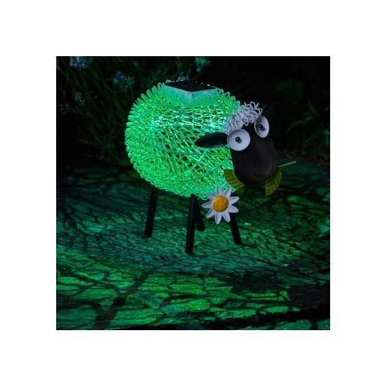 Pecora Sally soleluce solare