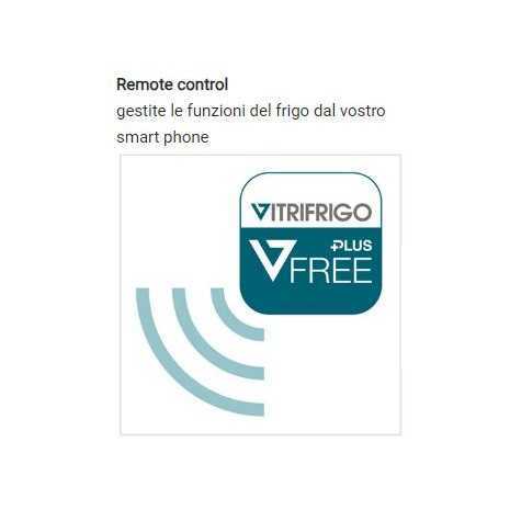 Frigorifero portatile 50L 12/24 - 220V VFP50