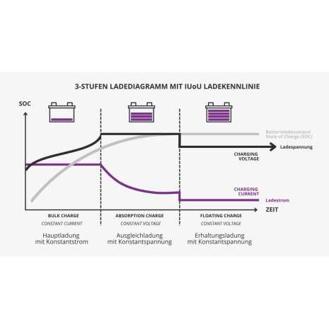 Caricabatterie 220V/12V 20A specifico per...