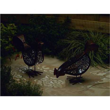 Galline a energia solare