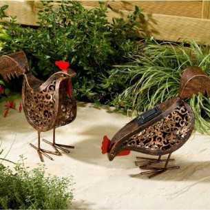 Galline a energia solare