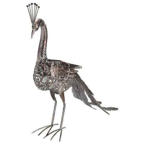 Pavone Soleluce solare