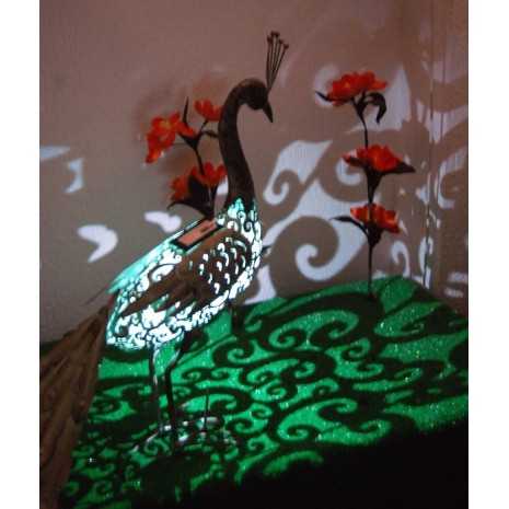 Pavone Soleluce solare