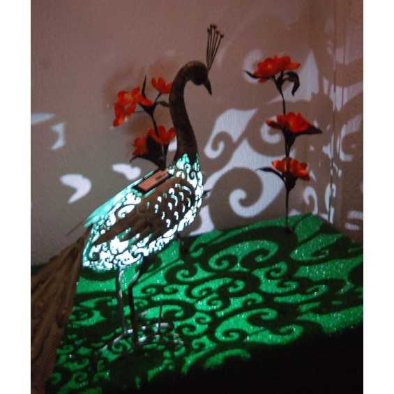 Pavone Soleluce solare Pavone Soleluce solare