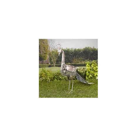 Pavone Soleluce solare