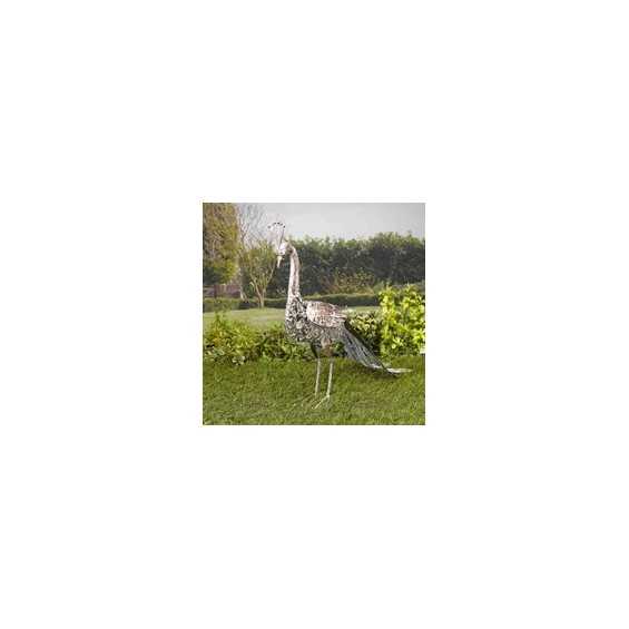 Pavone Soleluce solare Pavone Soleluce solare