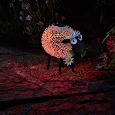 Pecora Sally soleluce solare