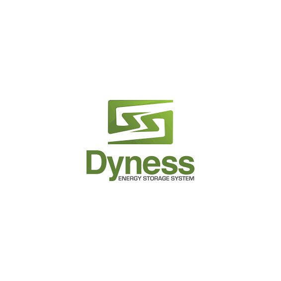 Batteria 4,8kWh/48V Dyness LiFePo4 modulabile A48100