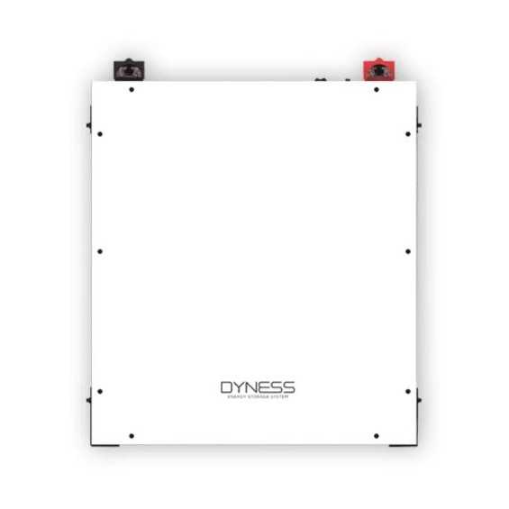 Batteria 4,8kWh/48V Dyness al Litio LiFePo4 modulabile A48100