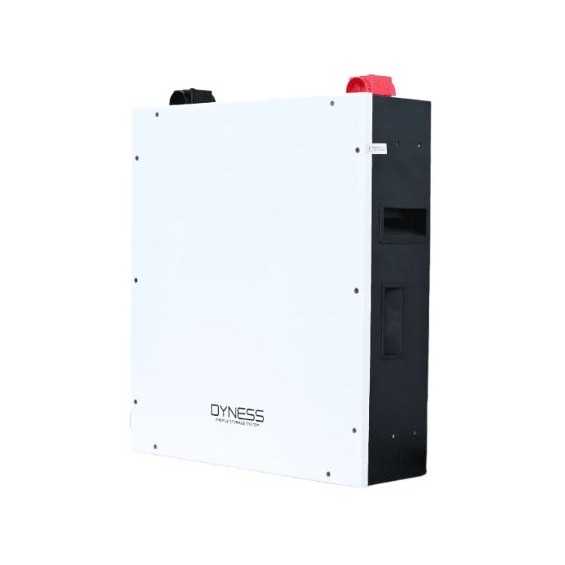 Batteria 4,8kWh/48V Dyness al Litio LiFePo4 modulabile A48100