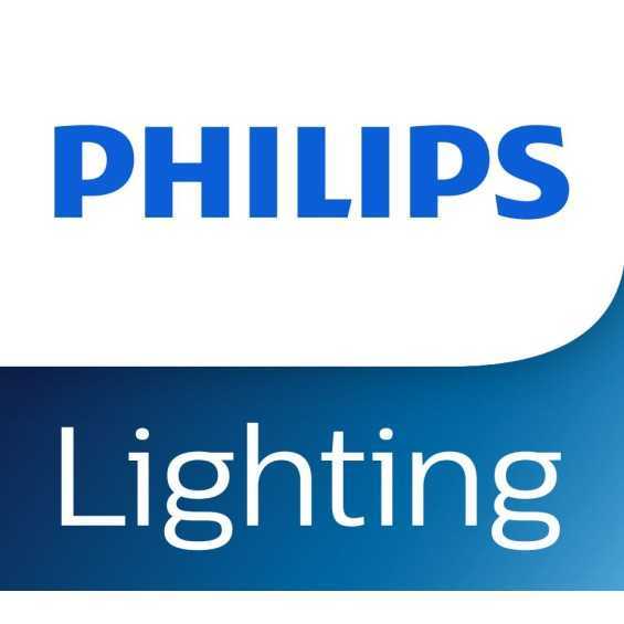 PHILIPS LIGHTING - Proiettore Ledinaire Solar 4480 lm, 32 W, 4000 K, IR remoto, IP65