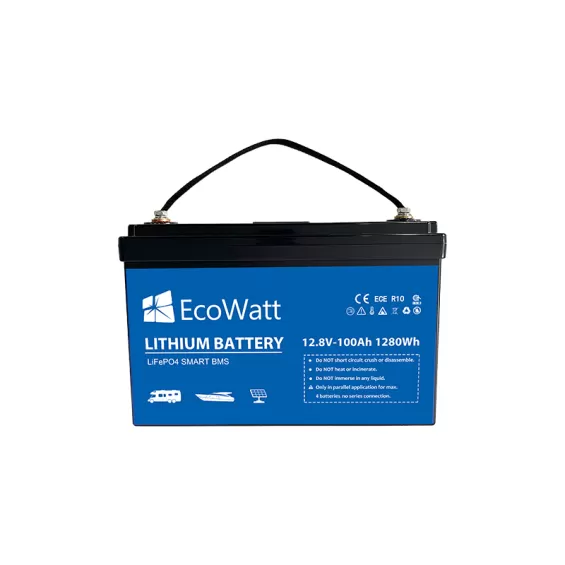 Batteria LiFePO4 100Ah 12V - 1,2kWh EcoWatt