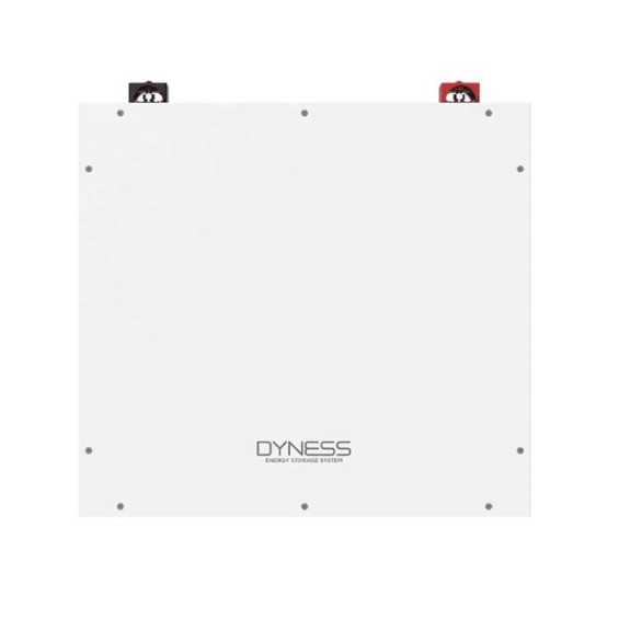 Batteria 5,12kWh/51,2V Dyness al Litio LiFePo4 modulabile DL5.0C