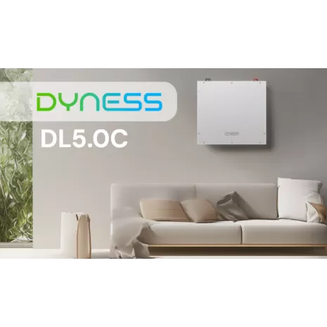 Batteria al litio Dyness 5kWh DL5.0C