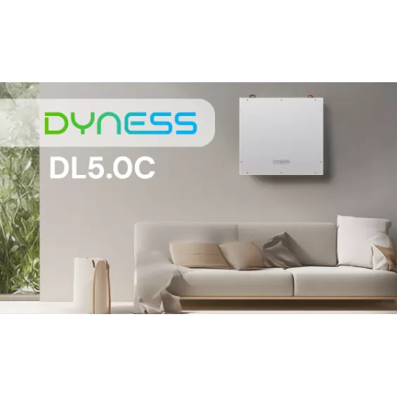 Batteria al litio Dyness 5kWh DL5.0C