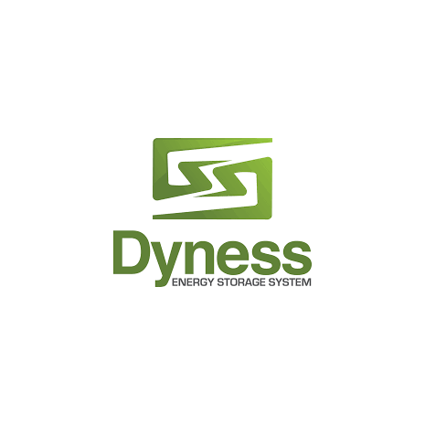 Batteria Dyness al Litio LiFePo4 modulabile