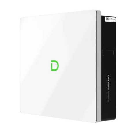Batteria 10,24kWh/51,2V Dyness al Litio LiFePo4 Powerbox G2 IP66 LV