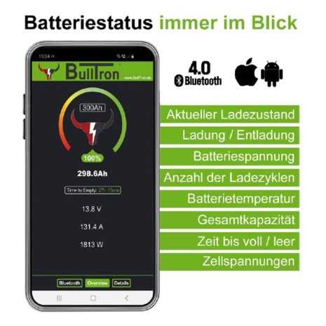 Batteria LiFePO4 100Ah 12.8V Bulltron Polar Slim