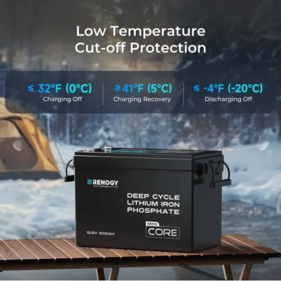 Batteria LiFePO4 12V 200Ah con Protezione a Bassa Temperatura | Renogy Core Mini