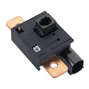 Battery Monitor WBM Western