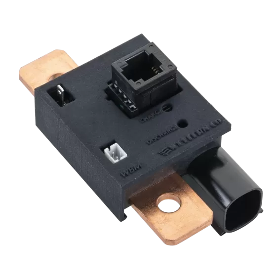 Battery Monitor WBM Western