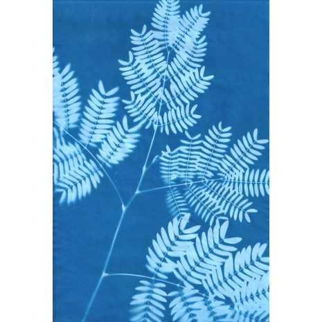 Sunprint: kit 12 fogli Fotosensibili