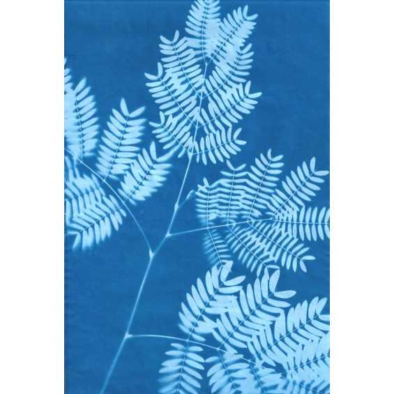 Sunprint: kit 12 fogli Fotosensibili