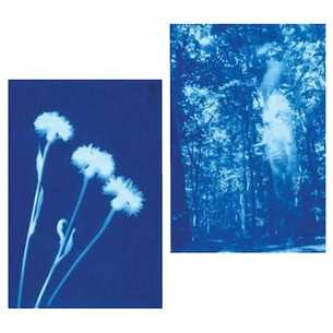 Sunprint: kit 12 fogli Fotosensibili